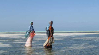 Joanna Lipper- Seaweed Farmers