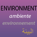 Environment<br />